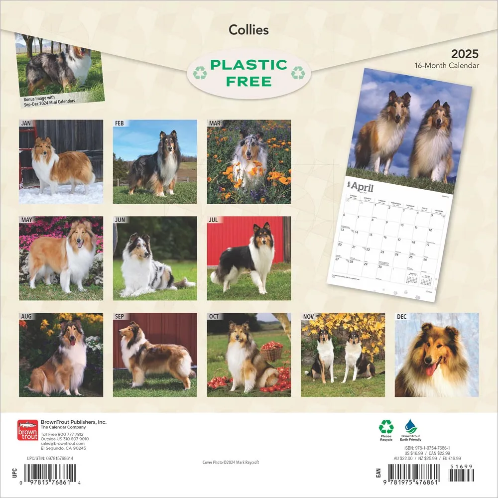 2025 Collies Wall Calendar