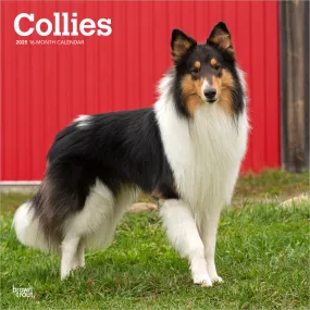 2025 Collies Wall Calendar