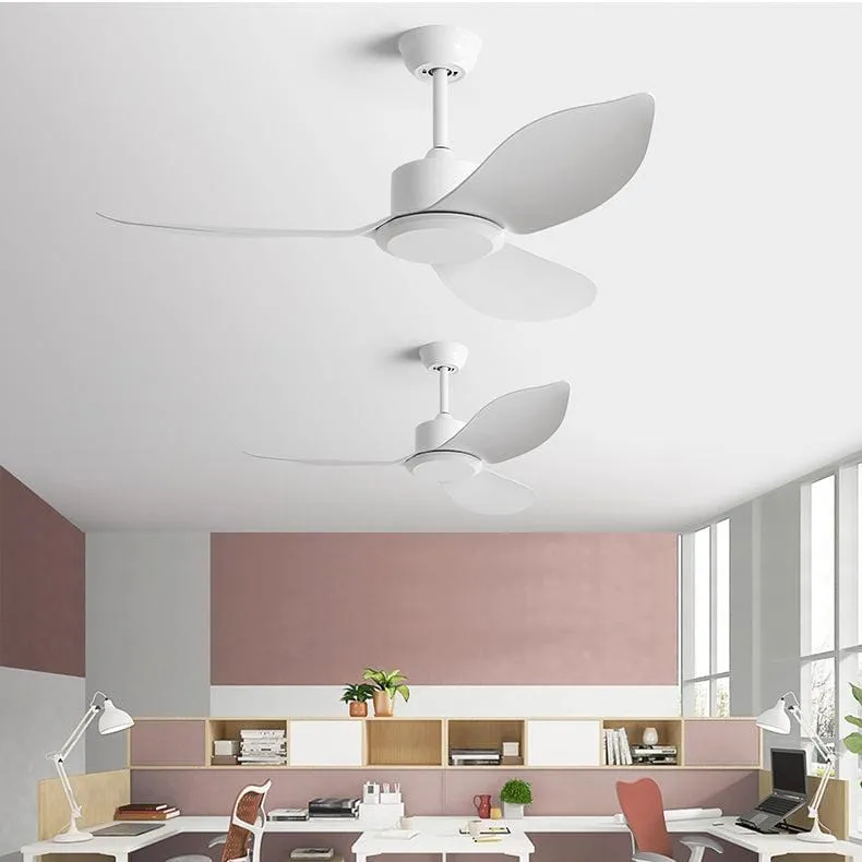 Akantha | Three Blade Ceiling Fan