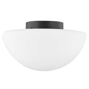 Andrea Flush Mount Light