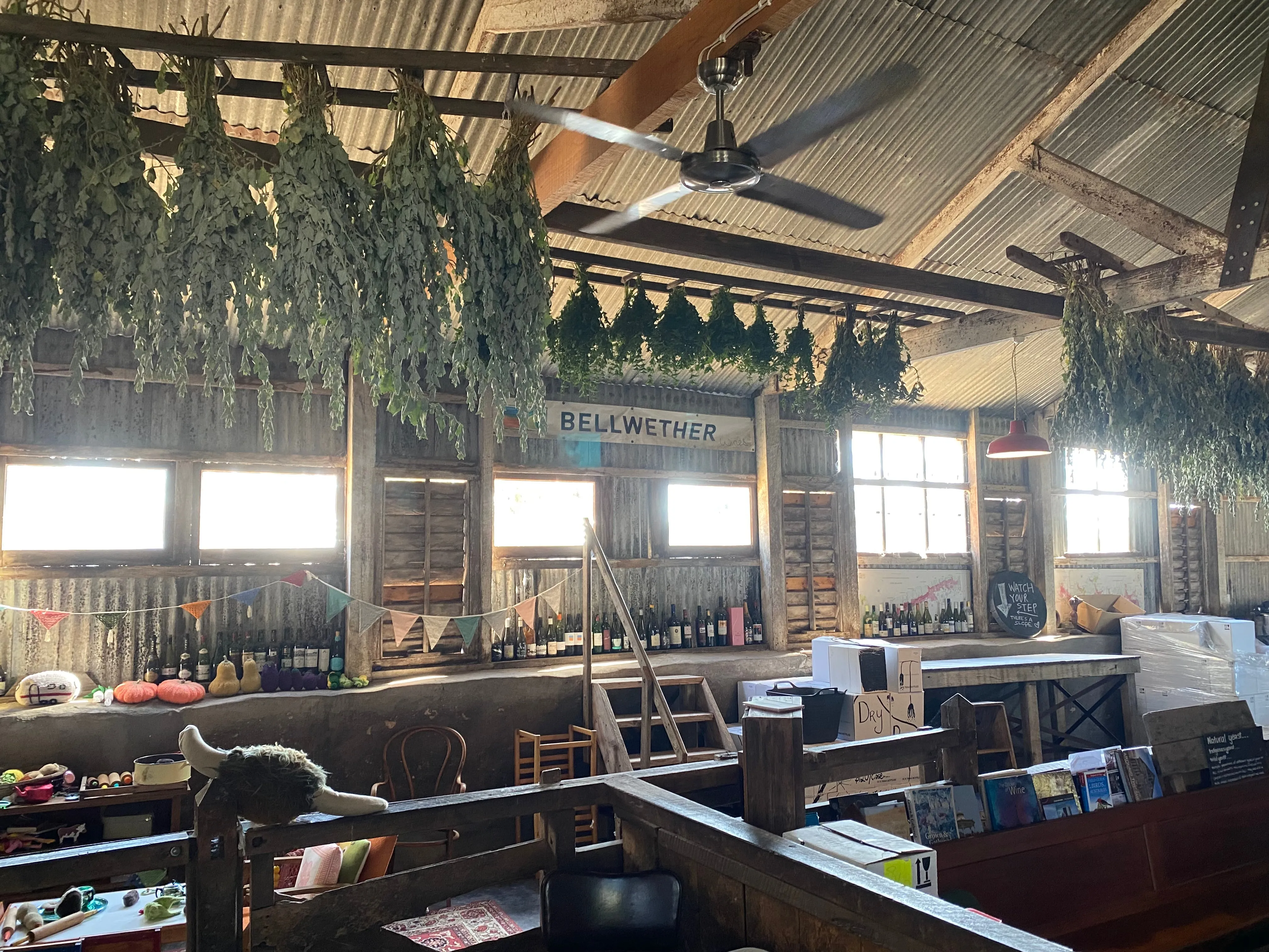 Bellwether Winery tour : Shearing shed - boutique winery renovation