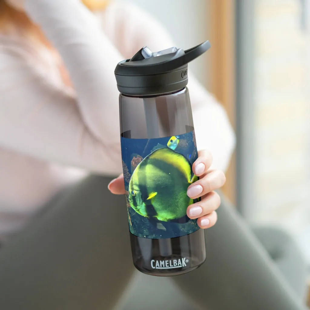 Green Fish CamelBak Eddy®  Water Bottle, 20oz / 25oz