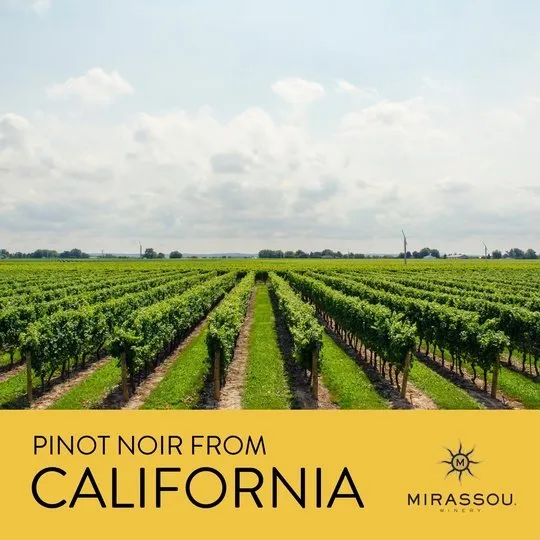 Mirassou Pinot Noir Red Wine, California, 750ml Glass Bottle