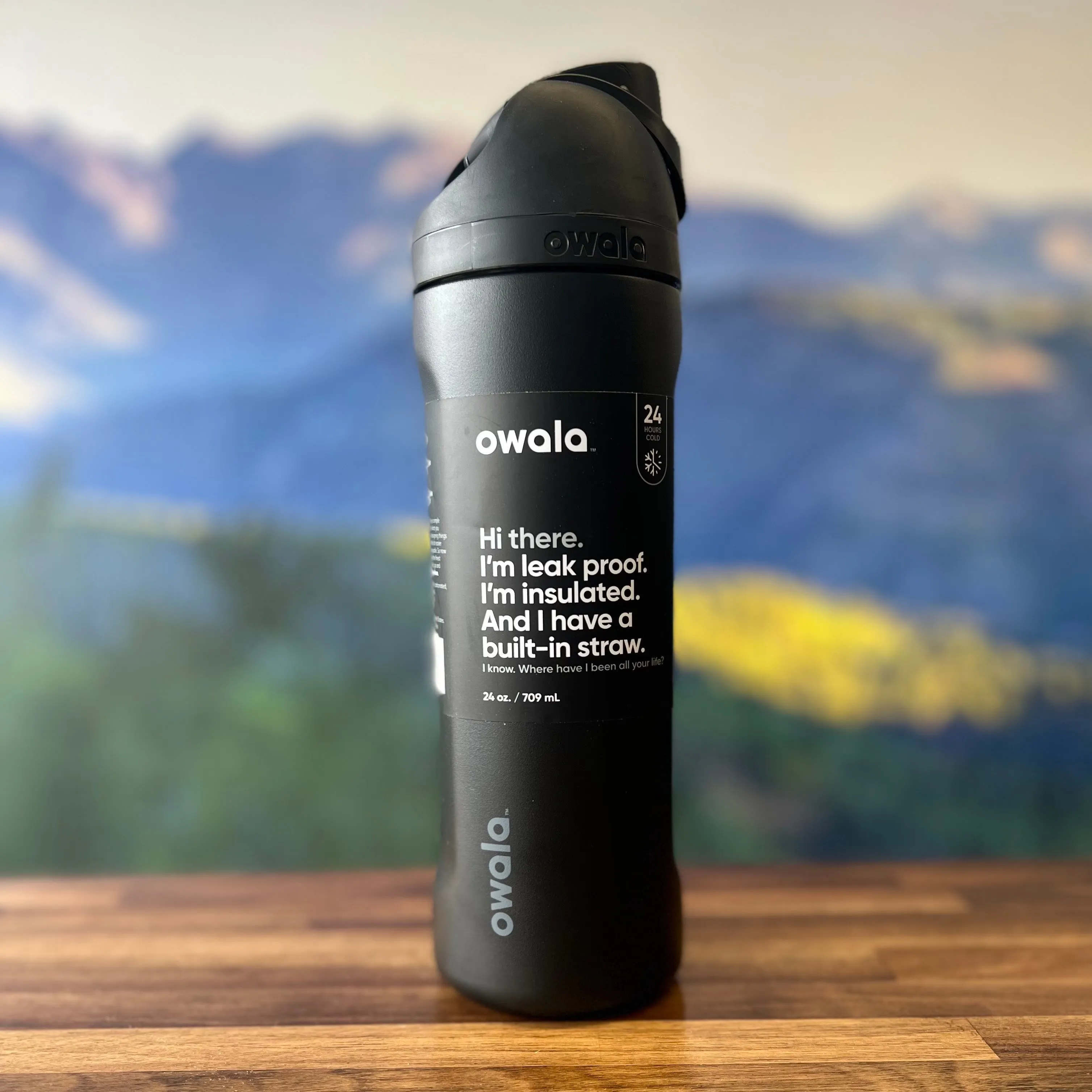 Owala® FreeSip® Insulated Stainless Steel Water Bottle BPA-Free, 24-Ounce (Black)