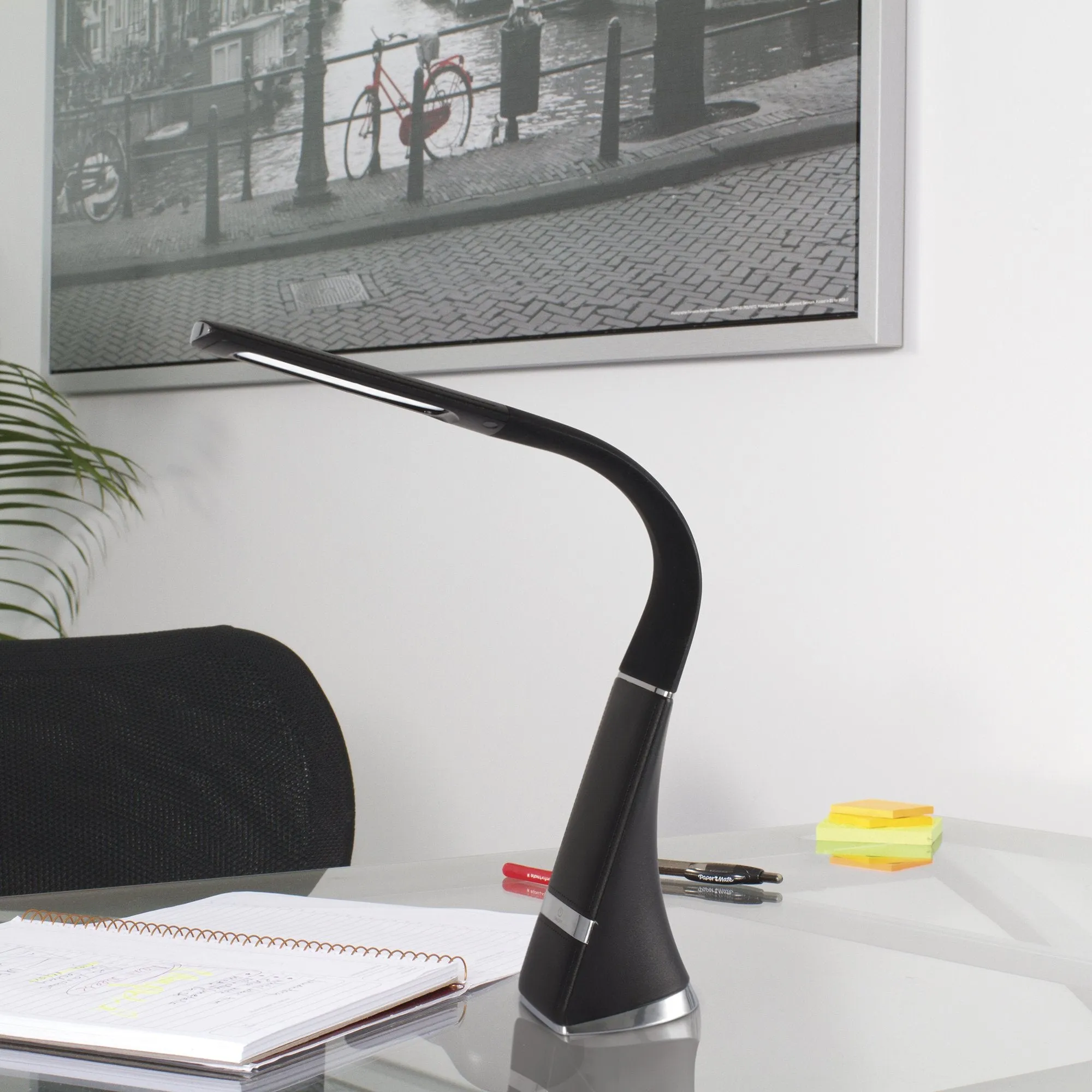 Recharge LED Desk Lamp