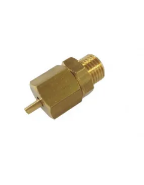 RK A219905510 - Anti Vacuum Valve