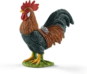 Rooster