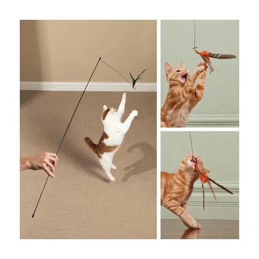 Single Rod Teaser Wand with Da Bird Cat Toy