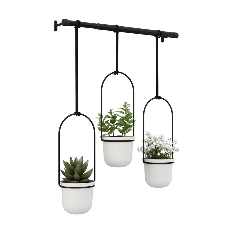 Triflora Hanging Planter