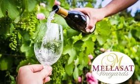 Wine Tasting including a Bottle of Wine at Mellasat Vineyards